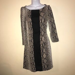 Zara Snakeskin Print Dress Sz XS